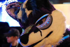 DSCF0738